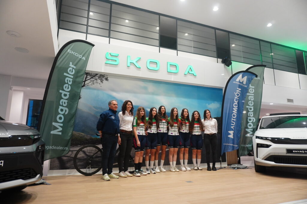 SKODA MOGADEALER X ECM